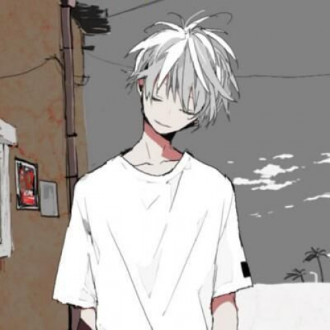 91卡网